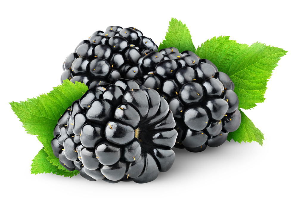 Organic Blackberry (punnet)