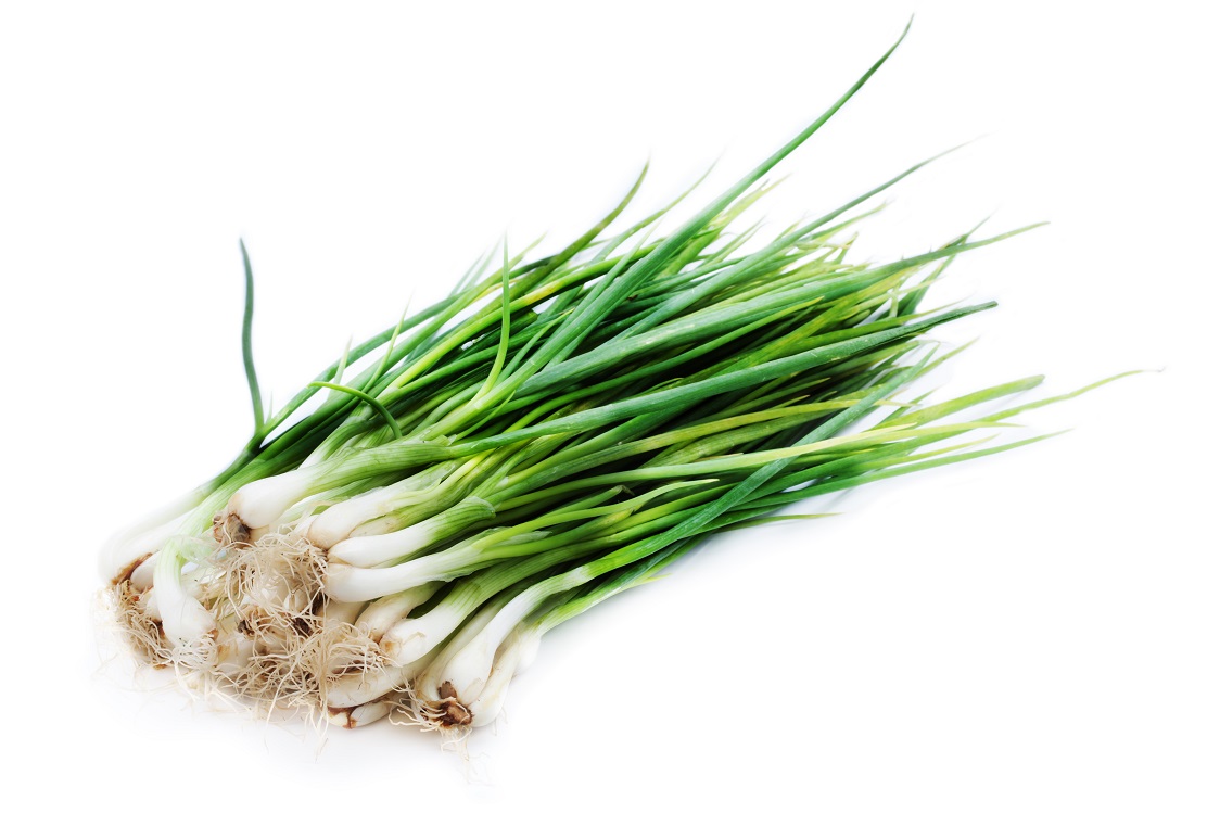 Organic Spring Onions PREMIUM Sleeved (each)