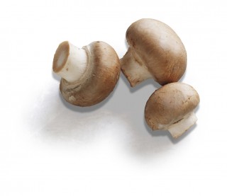 Organic Mushrooms Swiss Brown (~100g)